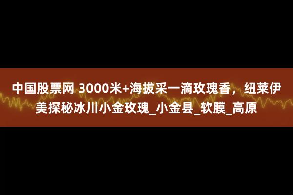 中国股票网 3000米+海拔采一滴玫瑰香，纽莱伊美探秘冰川小金玫瑰_小金县_软膜_高原
